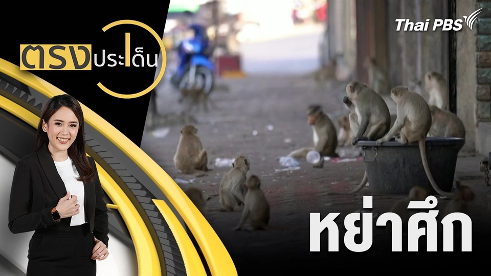 หย่าศึก