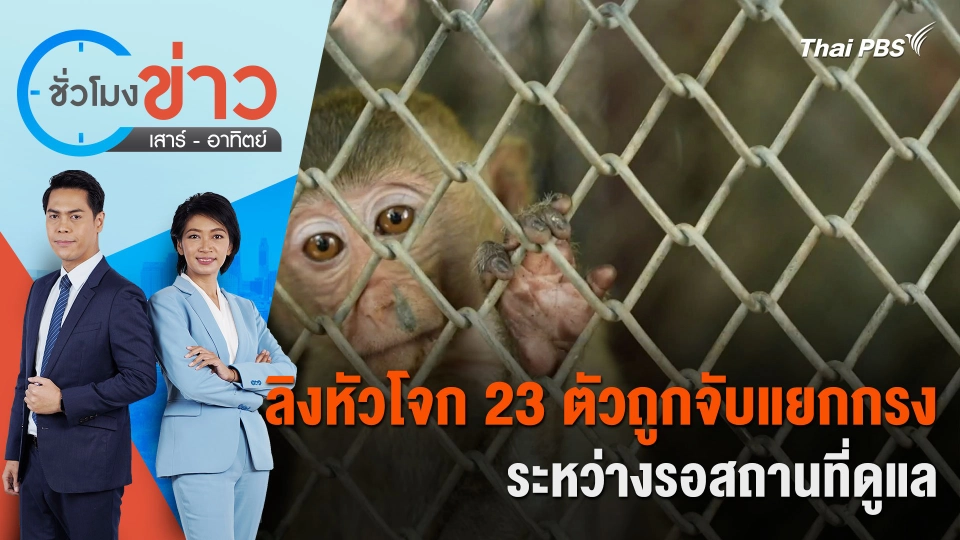 ลิงหัวโจก 23 ตัวถูกจับแยกกรงระหว่างรอสถานที่ดูแล | ชั่วโมงข่าว เสาร์ - อาทิตย์ | 31 มี.ค. 67