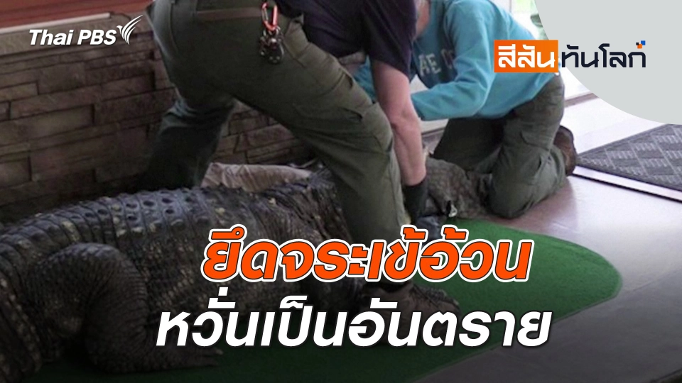 ยึดจระเข้อ้วน หวั่นเป็นอันตราย | สีสันทันโลก | 30 มี.ค. 67