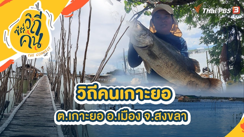 วิถีคนเกาะยอ ต.เกาะยอ อ.เมือง จ.สงขลา