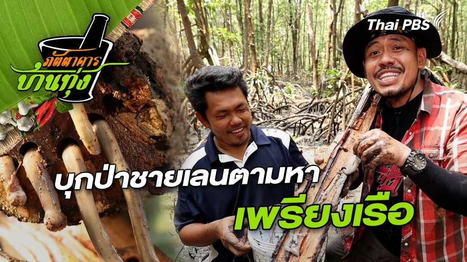 เพรียงเรือ