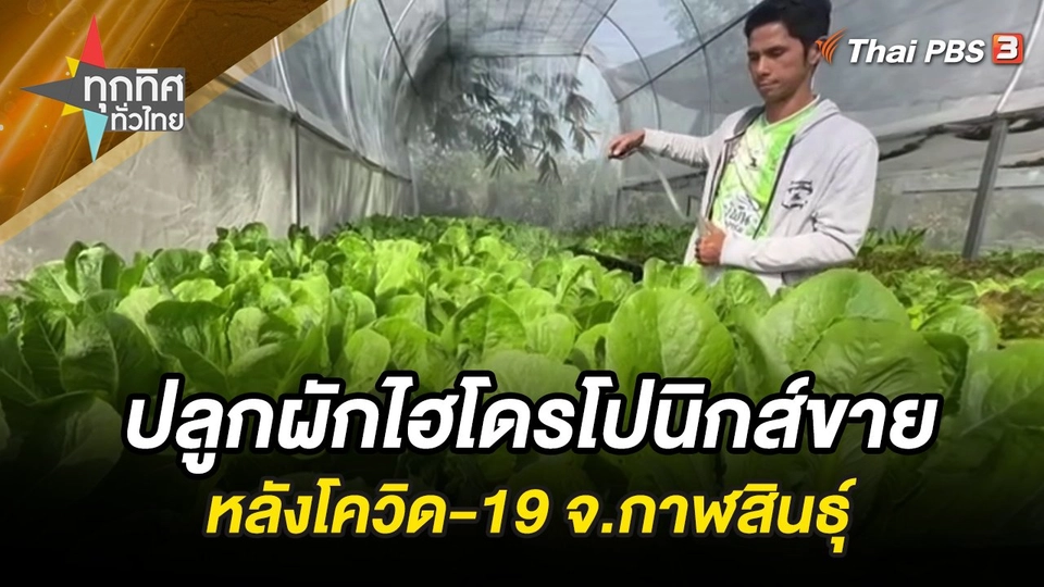 ปลูกผักไฮโดรโปนิกส์ขายหลังโควิด-19 จ.กาฬสินธุ์