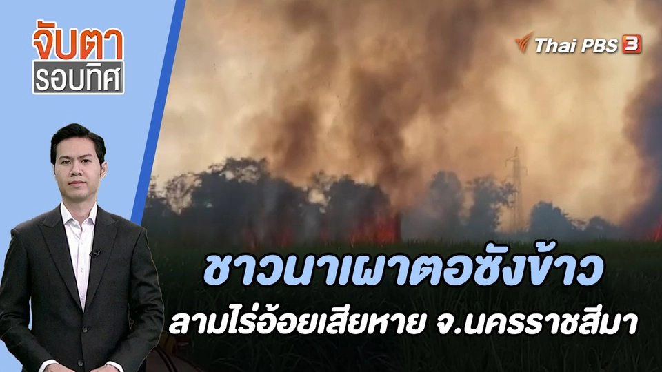 ชาวนาเผาตอซังข้าวลามไร่อ้อยเสียหาย จ.นครราชสีมา | จับตารอบทิศ | 18 ธ.ค. 66