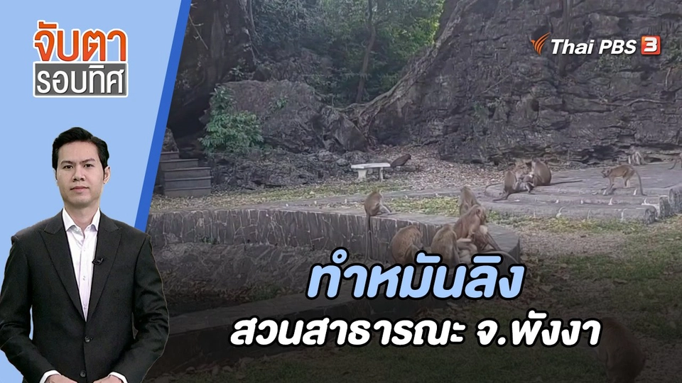 ทำหมันลิงสวนสาธารณะ จ.พังงา | จับตารอบทิศ | 25 ธ.ค. 66