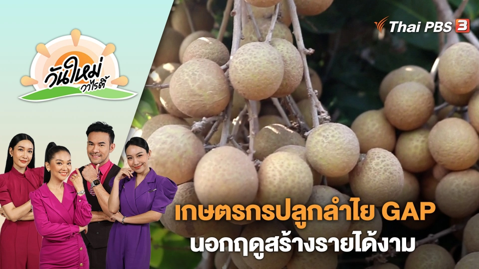 เกษตรกรจังหวัดพิจิตร ปลูกลำไย GAP นอกฤดูสร้างรายได้งาม | วันใหม่วาไรตี้ | 5 ม.ค. 67