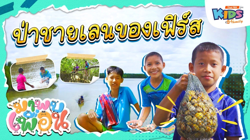 ป่าชายเลนของเฟิร์ส