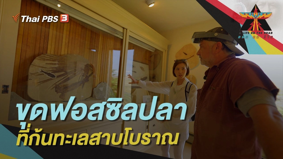 ขุดฟอสซิลปลาที่ก้นทะเลสาบโบราณ