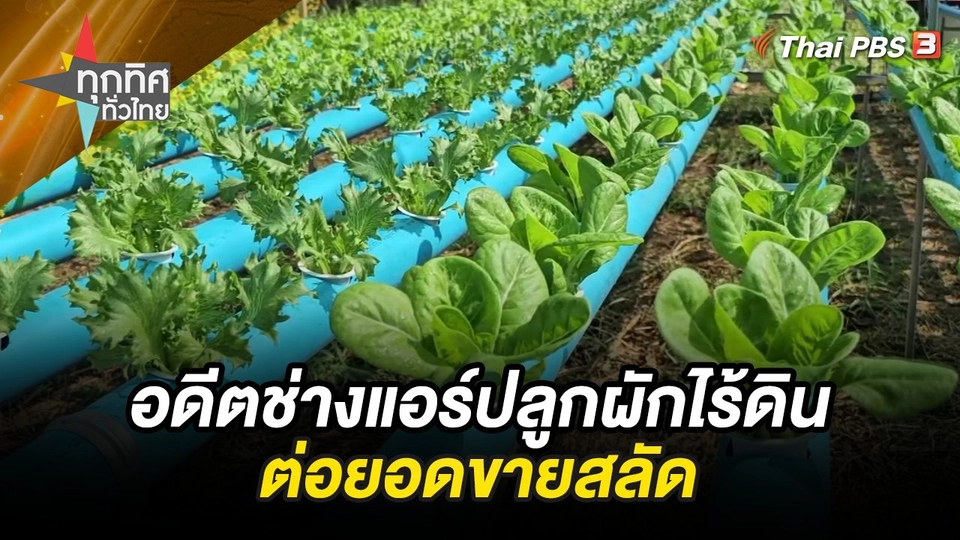 อดีตช่างแอร์ปลูกผักไร้ดิน ต่อยอดขายสลัด
