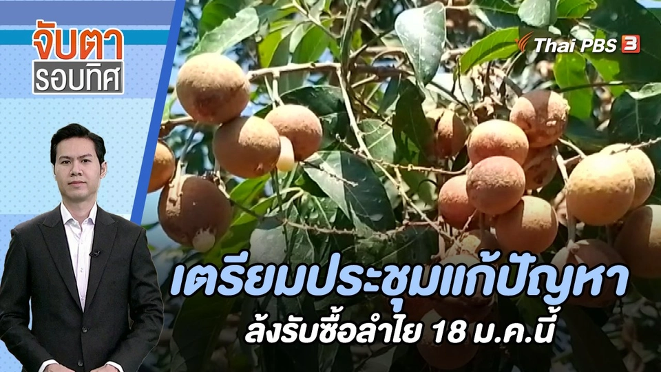 เตรียมประชุมแก้ปัญหาล้งรับซื้อลำไย 18 ม.ค.นี้ | จับตารอบทิศ | 15 ม.ค. 67
