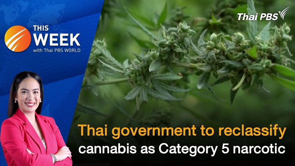 Thai government to reclassify cannabis as Category 5 narcotic | 10 May 2024
