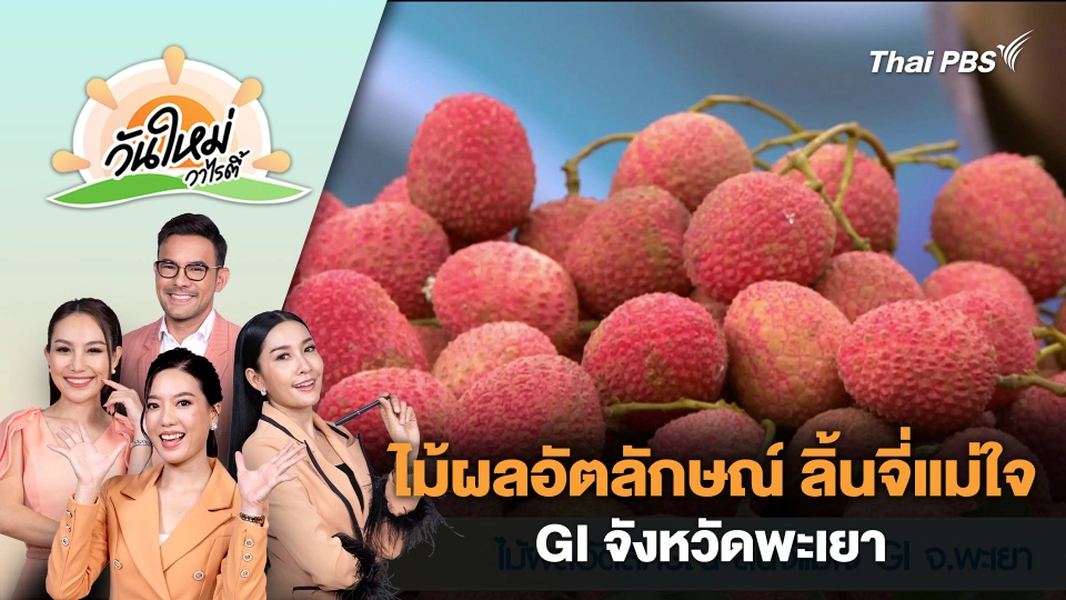 ไม้ผลอัตลักษณ์ ลิ้นจี่แม่ใจ GI จังหวัดพะเยา | วันใหม่วาไรตี้ | 16 พ.ค. 67