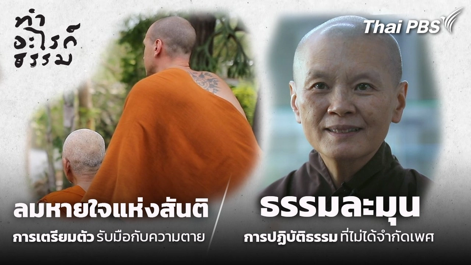 ลมหายใจแห่งสันติ และธรรมละมุน