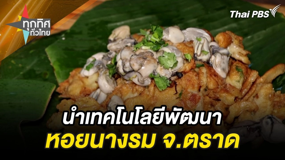 นำเทคโนโลยีพัฒนาหอยนางรม จ.ตราด