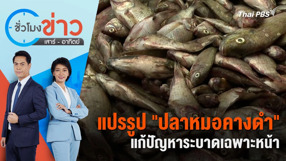 แปรรูป "ปลาหมอคางดำ" แก้ปัญหาระบาดเฉพาะหน้า | ชั่วโมงข่าว เสาร์ - อาทิตย์ | 14 ก.ค. 67
