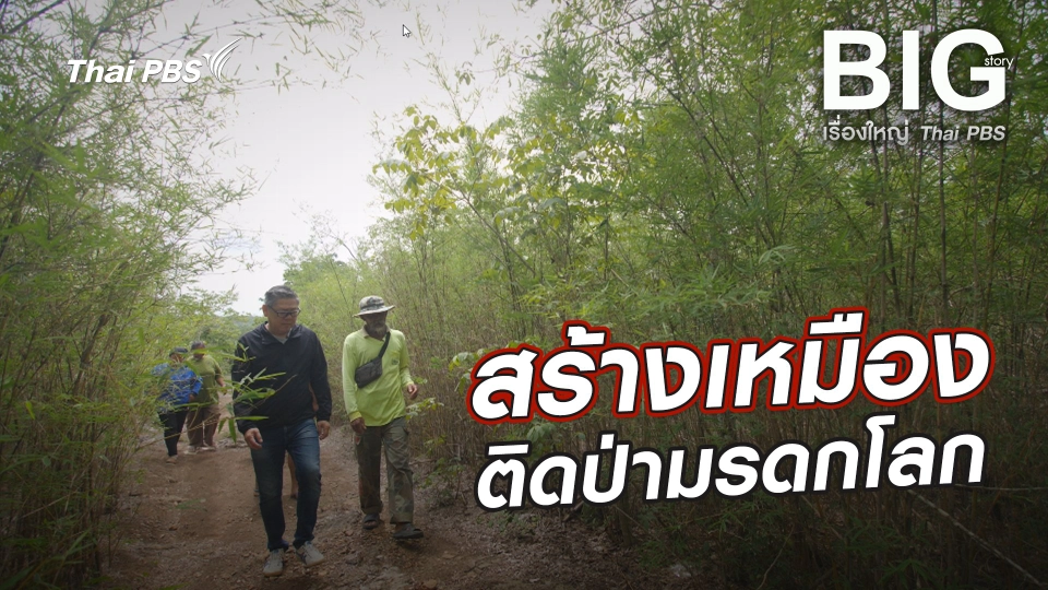 สร้างเหมืองติดป่ามรดกโลก