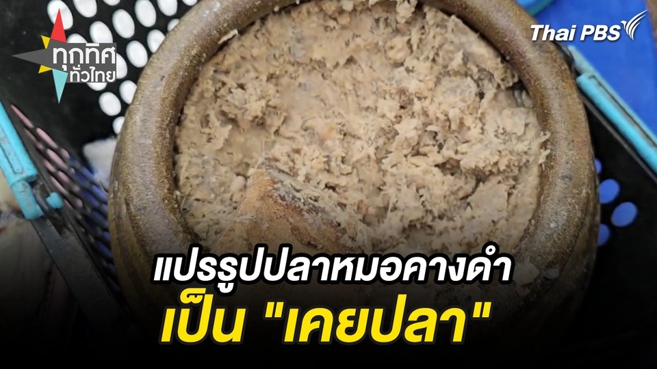 แปรรูปปลาหมอคางดำเป็น "เคยปลา" จ.นครศรีธรรมราช