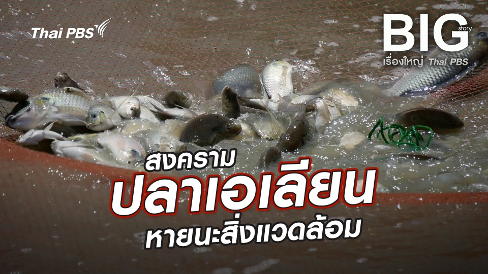 สงครามปลาเอเลียน หายนะสิ่งแวดล้อม