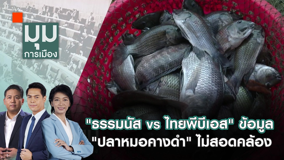 "ธรรมนัส vs ไทยพีบีเอส" ข้อมูล "ปลาหมอคางดำ" ไม่สอดคล้อง | 6 ส.ค. 67