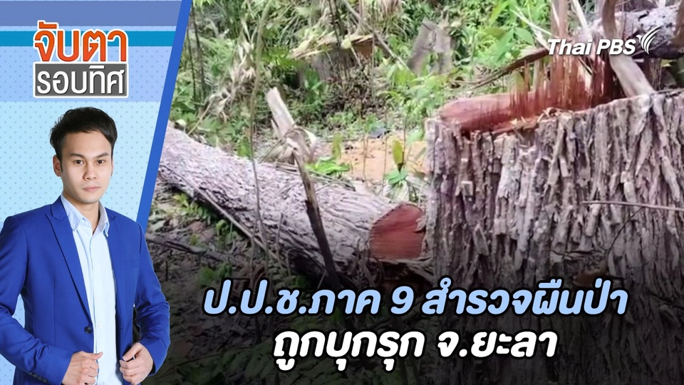 ป.ป.ช.ภาค 9 สำรวจผืนป่าถูกบุกรุก จ.ยะลา | จับตารอบทิศ | 20 ส.ค. 67