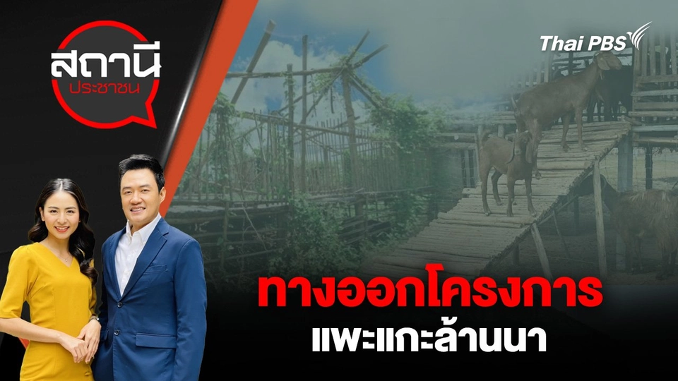 ทางออกโครงการ แพะแกะล้านนา