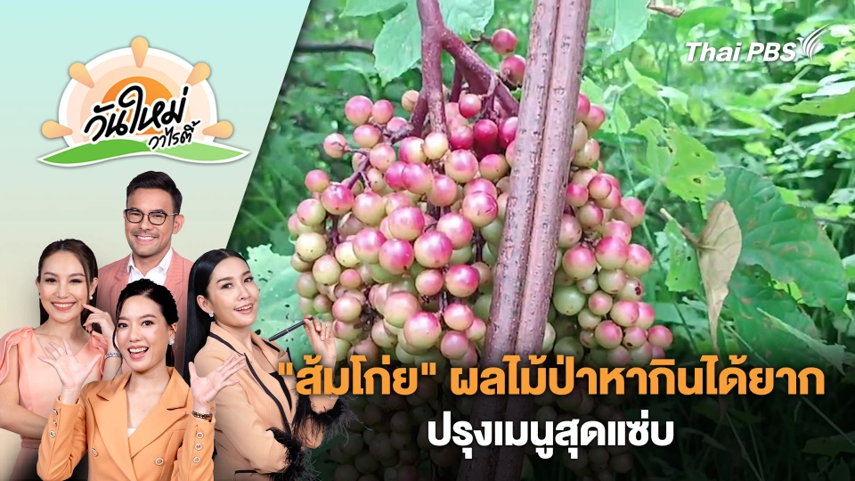 "ส้มโก่ย" ผลไม้ป่าหากินได้ยาก ปรุงเมนูสุดแซ่บ | วันใหม่วาไรตี้ | 17 ก.ย. 67