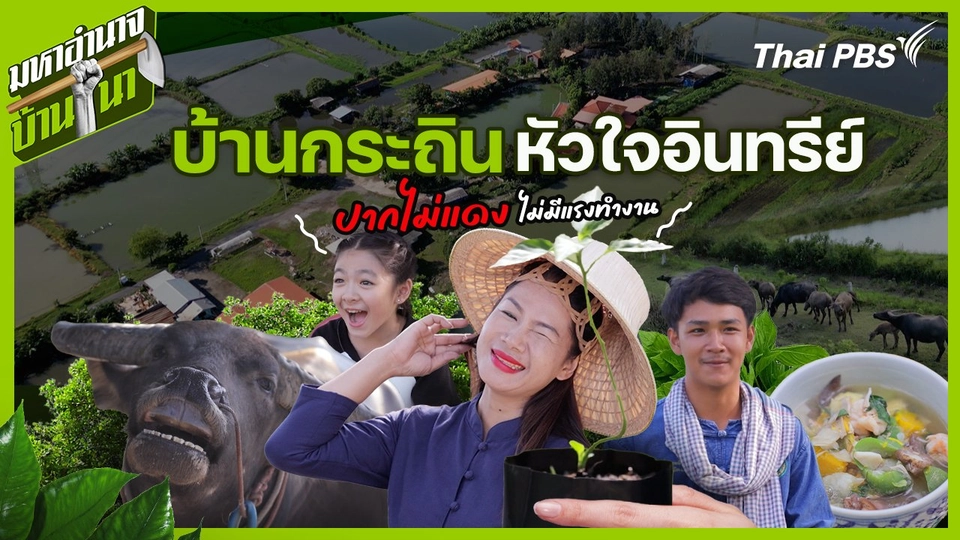 บ้านกระถิน หัวใจอินทรีย์