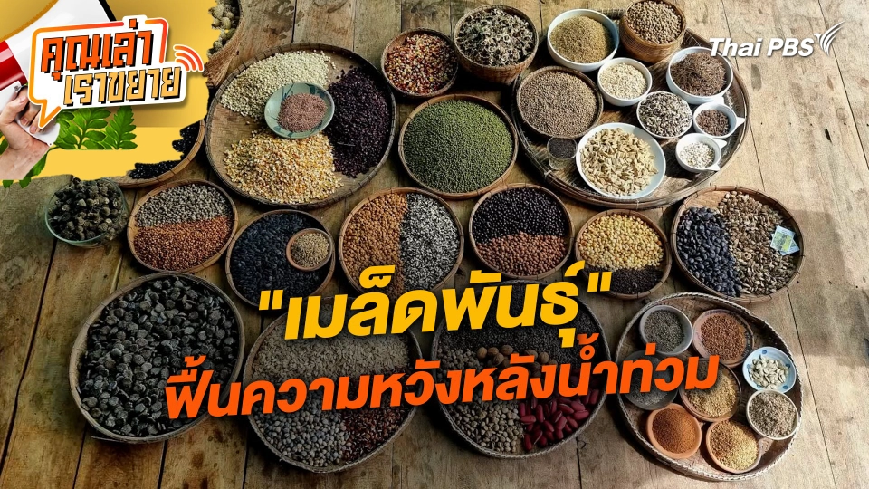 "เมล็ดพันธุ์" ฟื้นความหวังหลังน้ำท่วม