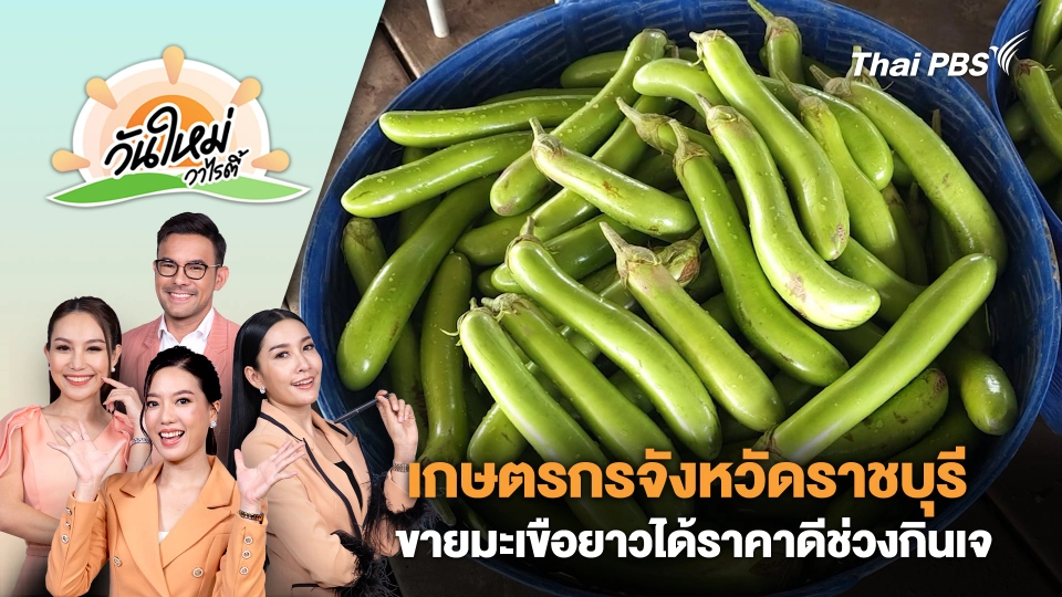 เกษตรกรจังหวัดราชบุรีขายมะเขือยาวได้ราคาดีช่วงกินเจ | วันใหม่วาไรตี้ | 3 ต.ค. 67