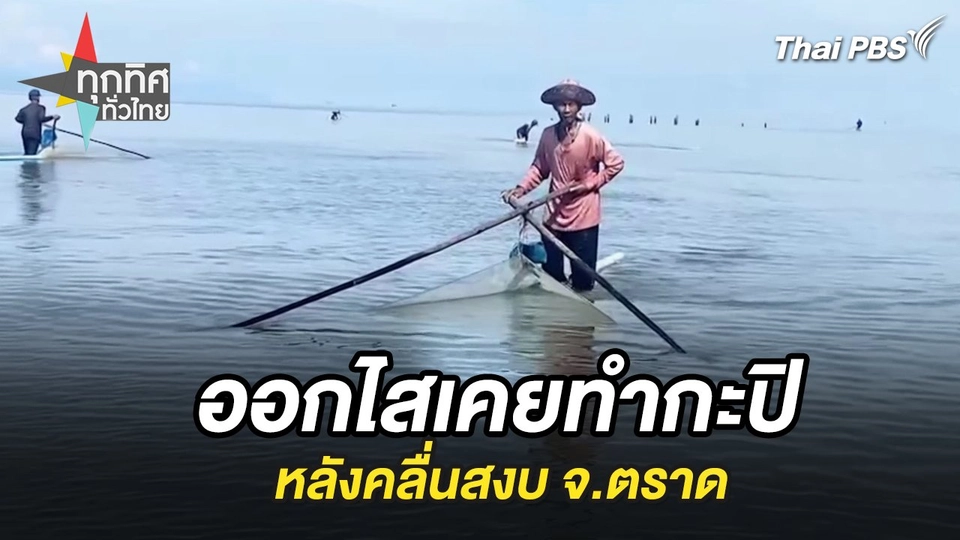 ออกไสเคยทำกะปิหลังคลื่นสงบ จ.ตราด