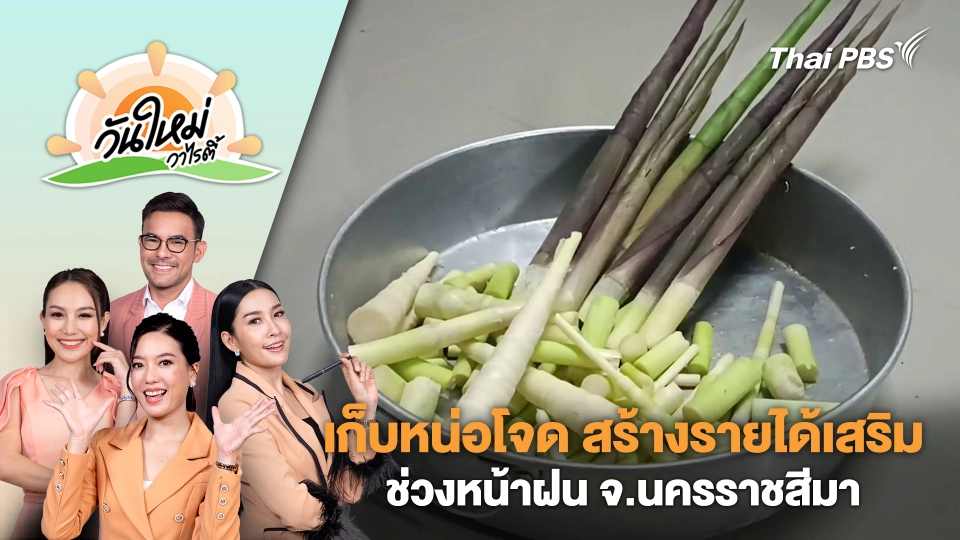 เก็บหน่อโจด สร้างรายได้เสริมช่วงหน้าฝน จ.นครราชสีมา | วันใหม่วาไรตี้ | 10 ต.ค. 67