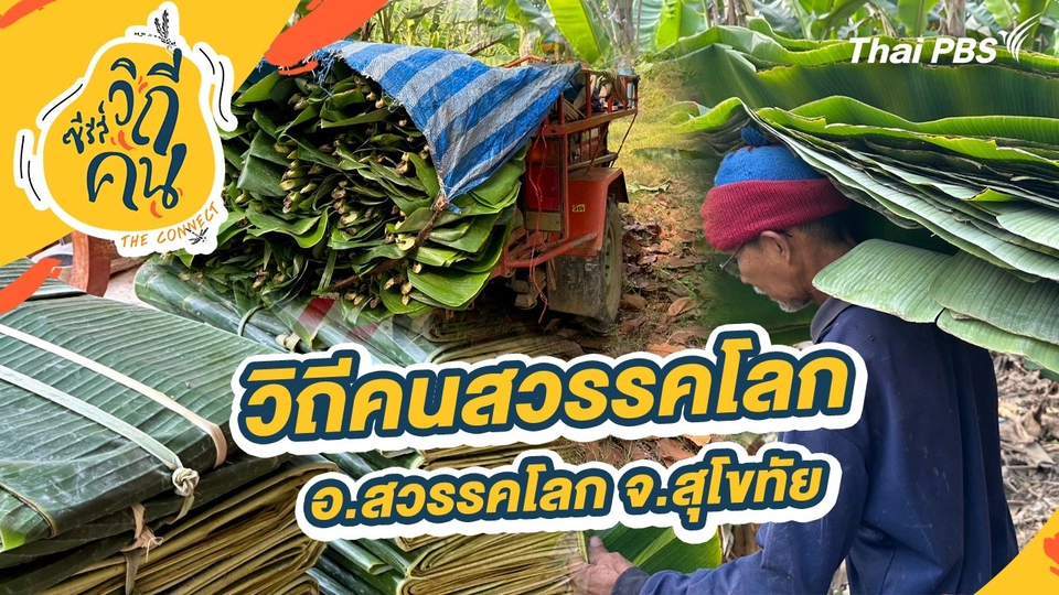 วิถีคนสวรรคโลก ต.เมืองบางยม และ ต.คลองกระจง อ.สวรรคโลก จ.สุโขทัย