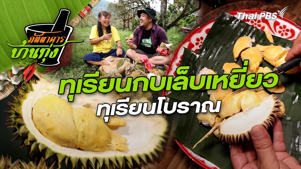 ทุเรียนกบเล็บเหยี่ยว