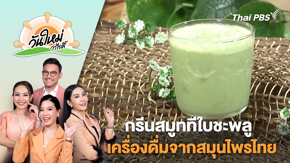 กรีนสมูททีใบชะพลูเครื่องดื่มสุขภาพดีจากสมุนไพรไทย | วันใหม่วาไรตี้ | 6 มิ.ย. 67
