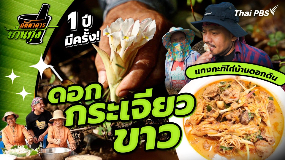 ดอกกระเจียวขาว