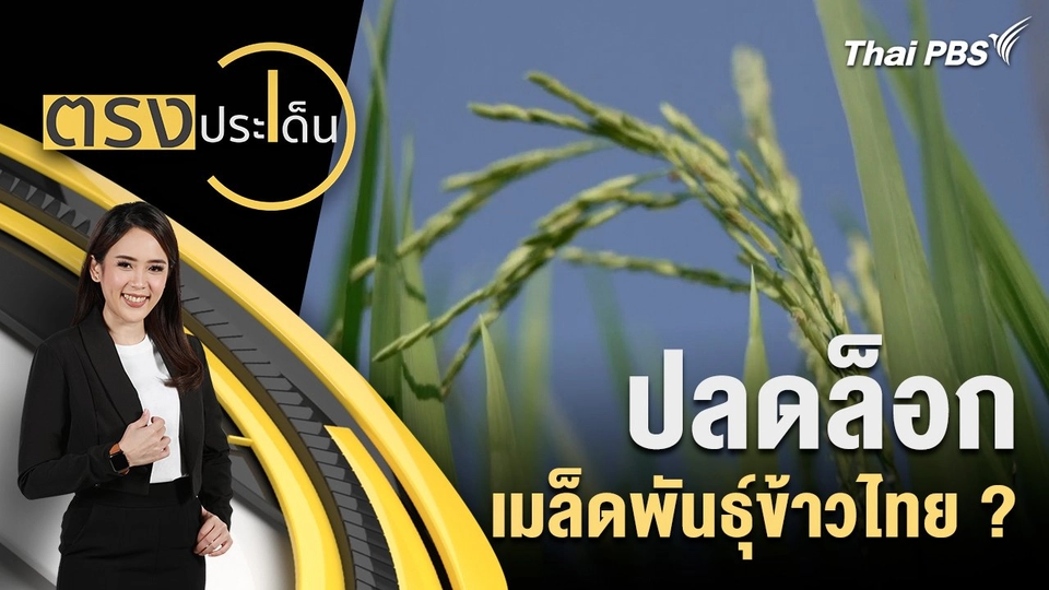 ปลดล็อก เมล็ดพันธุ์ข้าวไทย ?