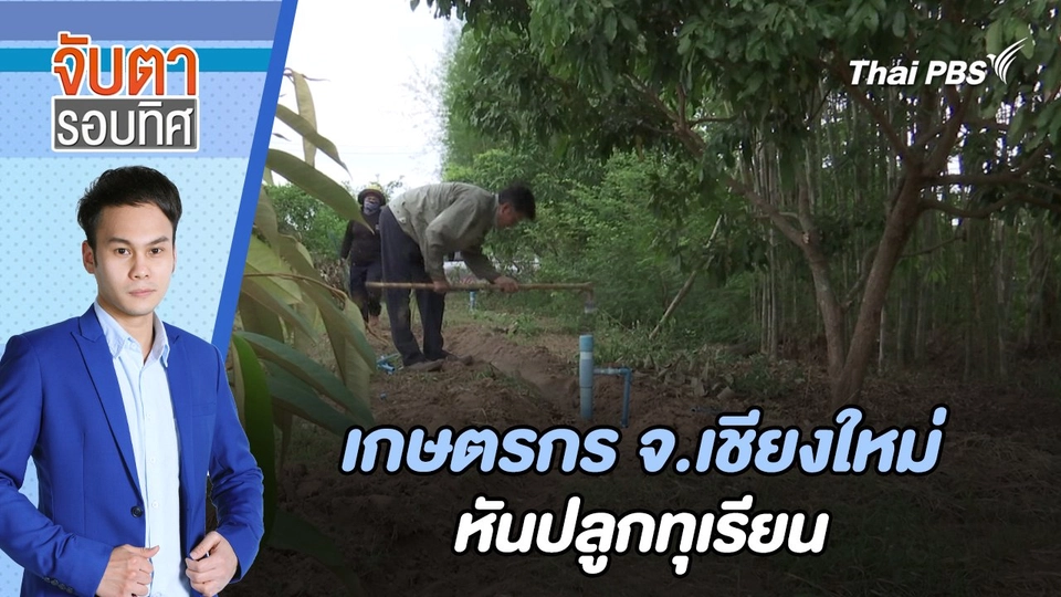 เกษตรกร จ.เชียงใหม่ หันปลูกทุเรียน | จับตารอบทิศ | 17 มิ.ย. 67