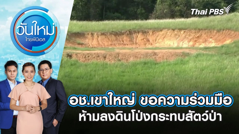 อช.เขาใหญ่ ขอความร่วมมือห้ามลงดินโป่งกระทบสัตว์ป่า | วันใหม่ ไทยพีบีเอส | 21 มิ.ย. 67