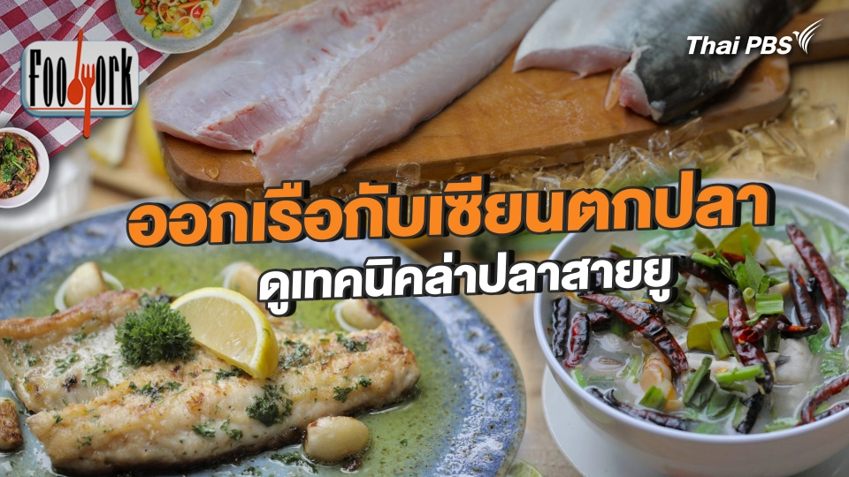 ออกเรือกับเซียนตกปลา ดูเทคนิคล่าปลาสายยู