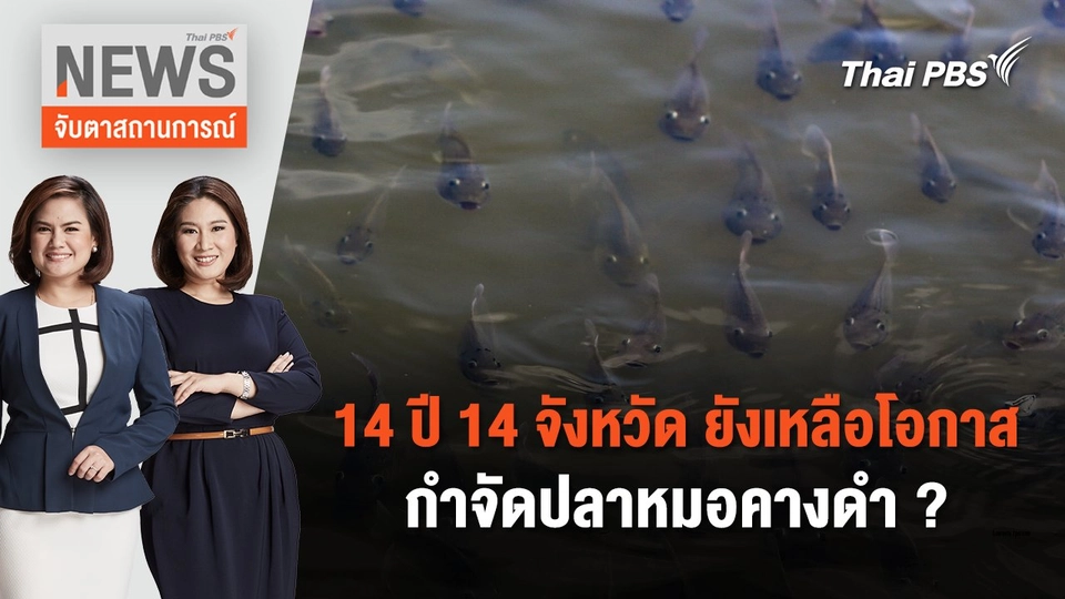 14 ปี 14 จังหวัด ยังเหลือโอกาสกำจัดปลาหมอคางดำ ? | จับตาสถานการณ์ | 12 ก.ค. 67
