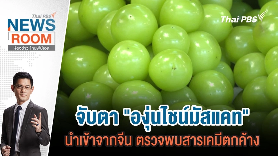 จับตา "องุ่นไชน์มัสแคท" นำเข้าจากจีน ตรวจพบสารเคมีตกค้าง  | 27 ต.ค.67