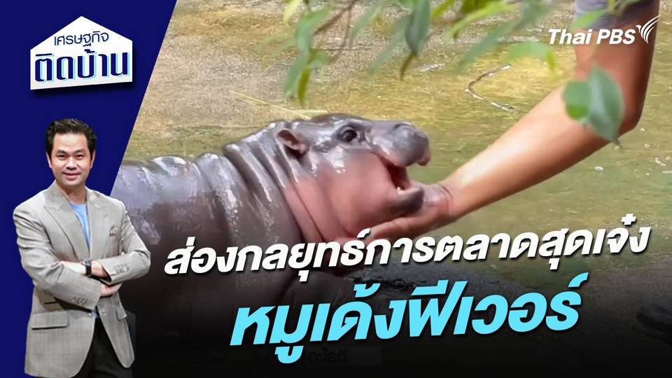 ส่องกลยุทธ์การตลาดสุดเจ๋ง "หมูเด้งฟีเวอร์”