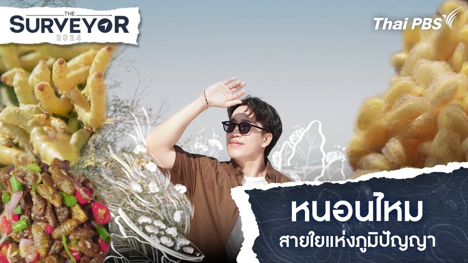 หนอนไหม สายใยแห่งภูมิปัญญา