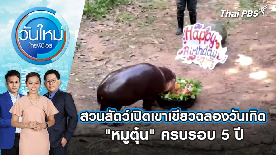 สวนสัตว์เปิดเขาเขียวฉลองวันเกิด "หมูตุ๋น" ครบรอบ 5 ปี | 28 ต.ค. 67
