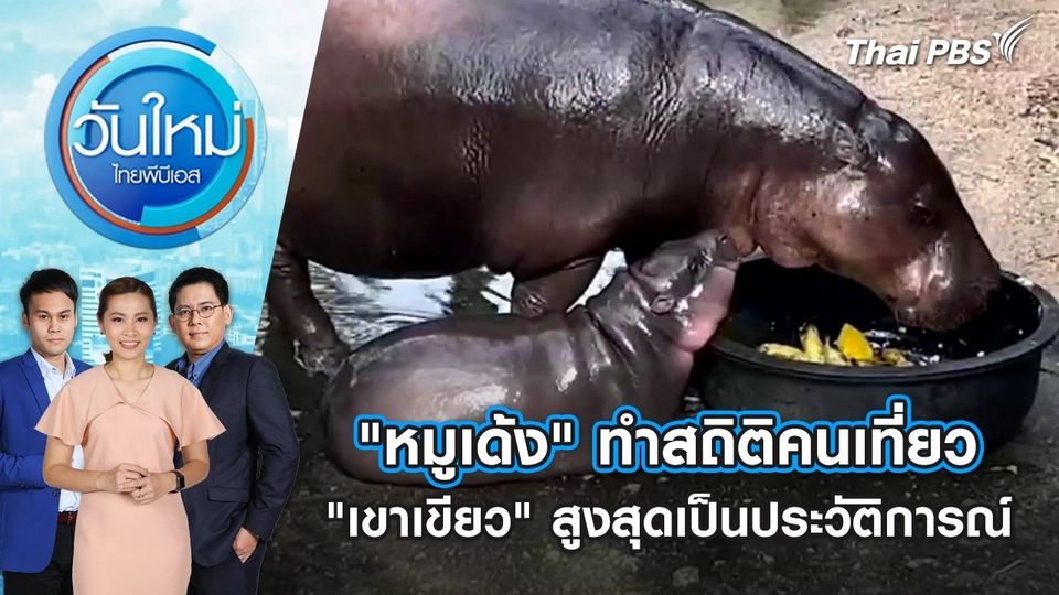 "หมูเด้ง" ทำสถิติคนเที่ยว "เขาเขียว" สูงสุดเป็นประวัติการณ์ | 14 ต.ค. 67