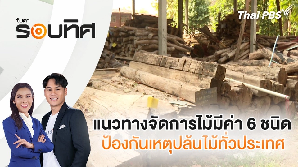 แนวทางจัดการไม้มีค่า 6 ชนิด ป้องกันเหตุปล้นไม้ทั่วประเทศ | จับตารอบทิศ | 3 ม.ค. 68