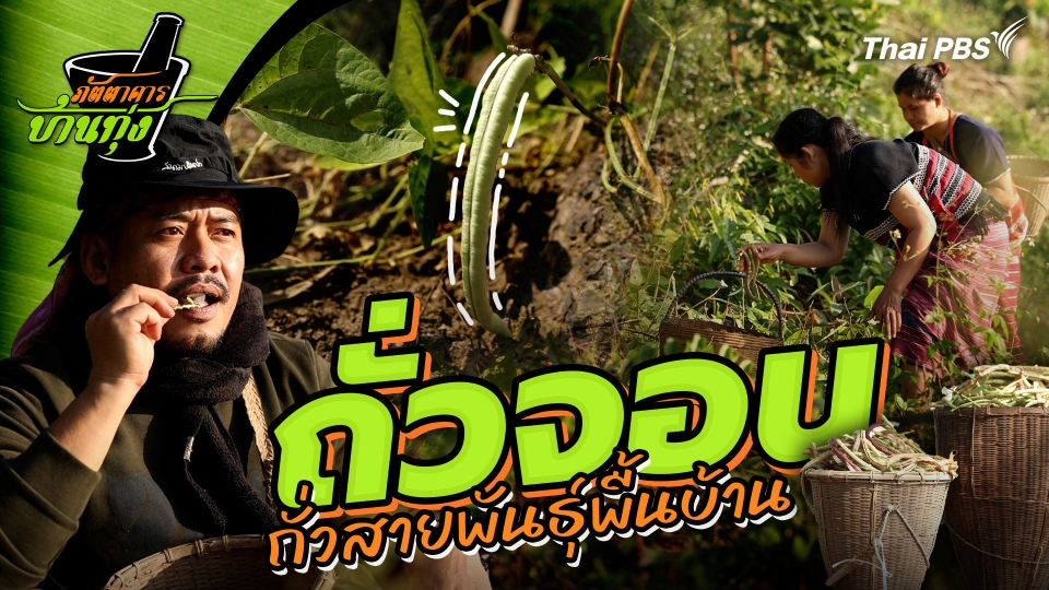 ถั่วจอน