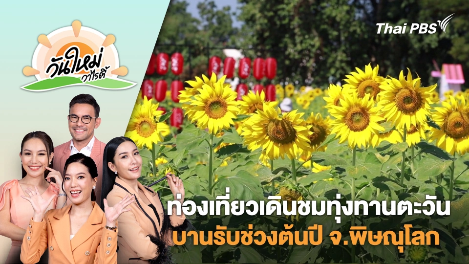 ท่องเที่ยวเดินชมทุ่งทานตะวันบานรับช่วงต้นปี จ.พิษณุโลก | วันใหม่วาไรตี้ | 6 ม.ค. 68