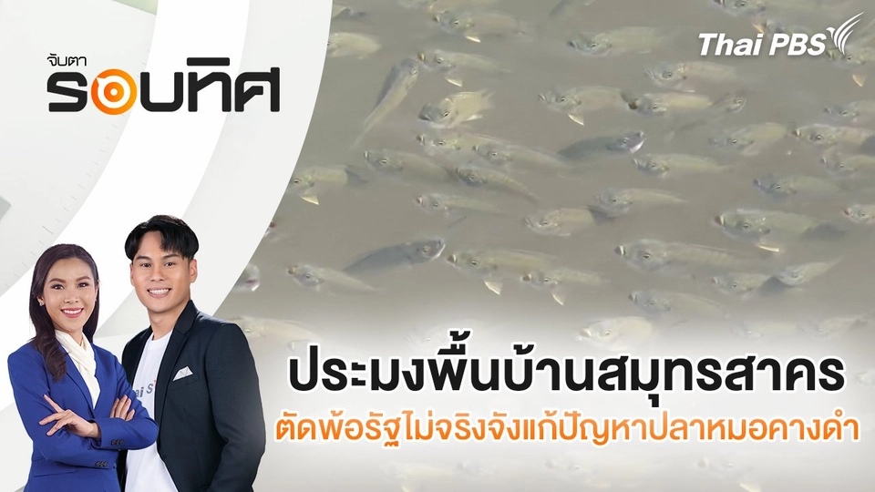 ประมงพื้นบ้านสมุทรสาคร ตัดพ้อรัฐไม่จริงจังแก้ปัญหาปลาหมอคางดำ | จับตารอบทิศ | 8 ม.ค. 68