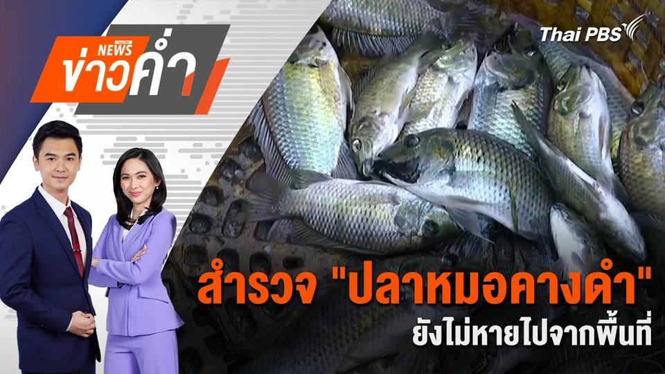 สำรวจ "ปลาหมอคางดำ" ยังไม่หายไปจากพื้นที่ | 7 ม.ค. 68