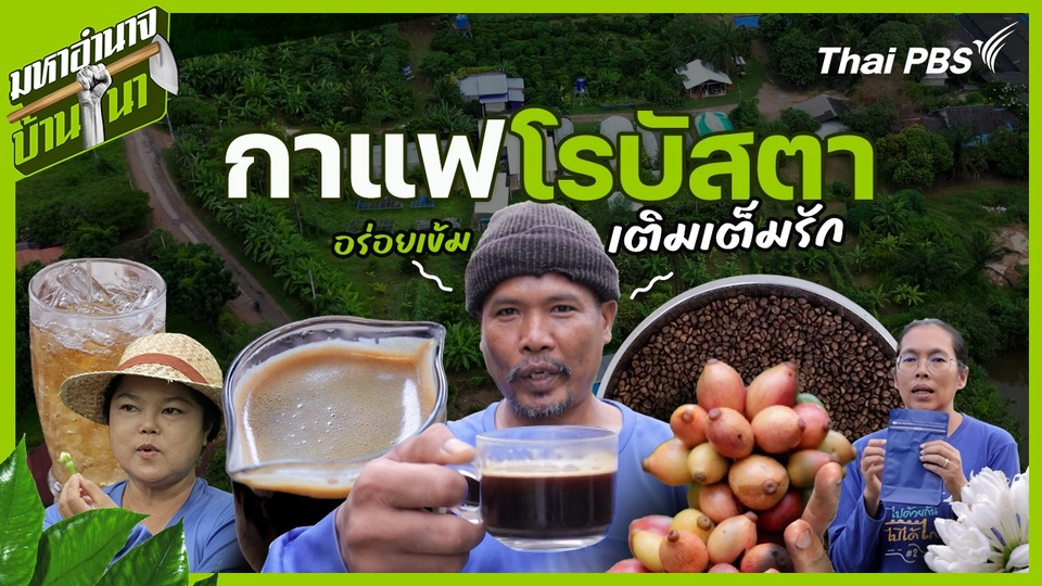 กาแฟโรบัสตา อร่อยเข้ม เติมเต็มรัก